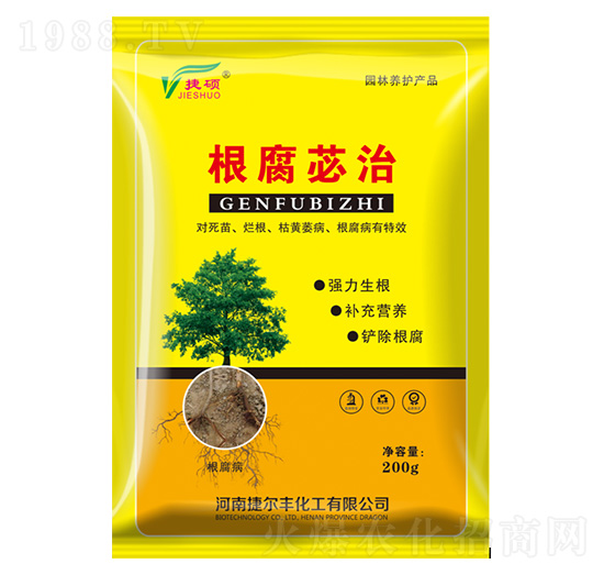 ����ƃ��-�ݠ��S����