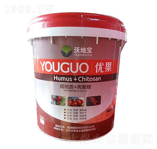 ��ֲ��+������-��(y��u)��-�ֵ،�