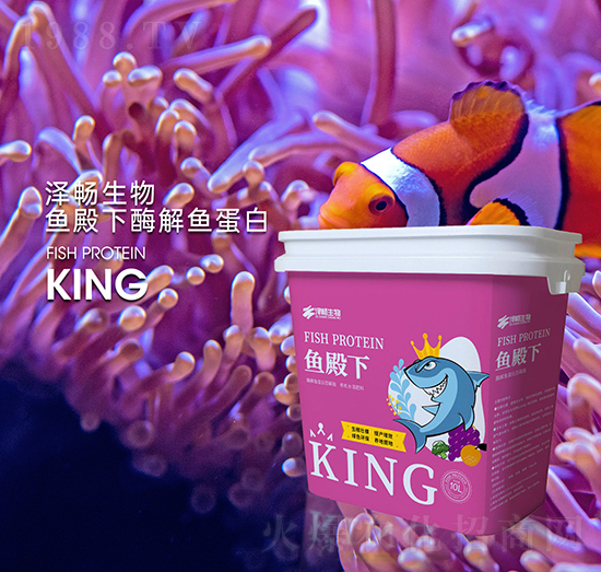 ø���~����-�~����-�ɕ�����