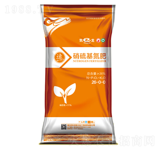 ���������-�P�����d