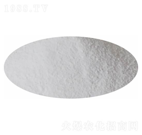 ����һ�@-�P�����d