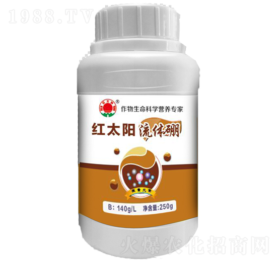 ���w��-�t̫�-�ư����B(t��i)