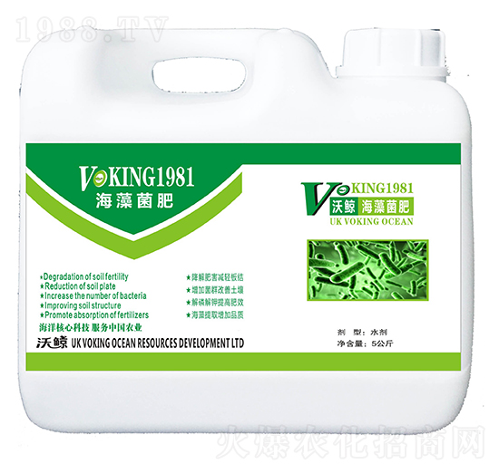 �������-���L