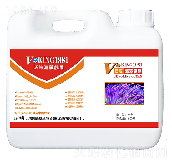 �����n��-���L