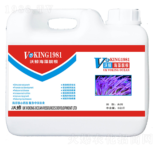 �����n��-���L