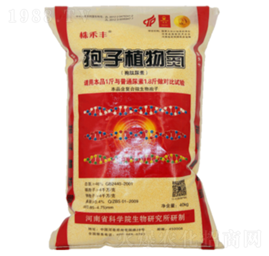 ����ֲ�ﵪ-����S-��˹��