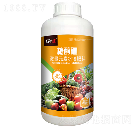 1000ml�Ǵ���-�f��t-�Z�\��