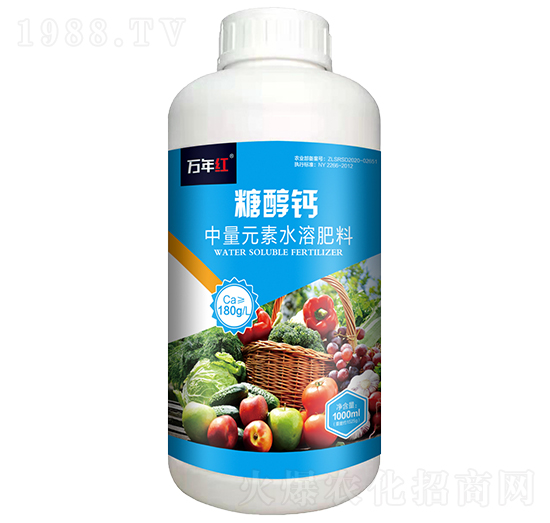1000ml�Ǵ��}-�f(w��n)��t-�Z�\(ch��ng)��