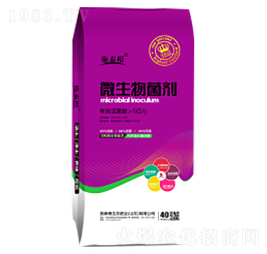 ΢�������-ʩ̩��