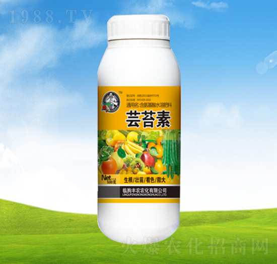 �|̦�ء�ƿ��-ֲ��-�S�r�r��