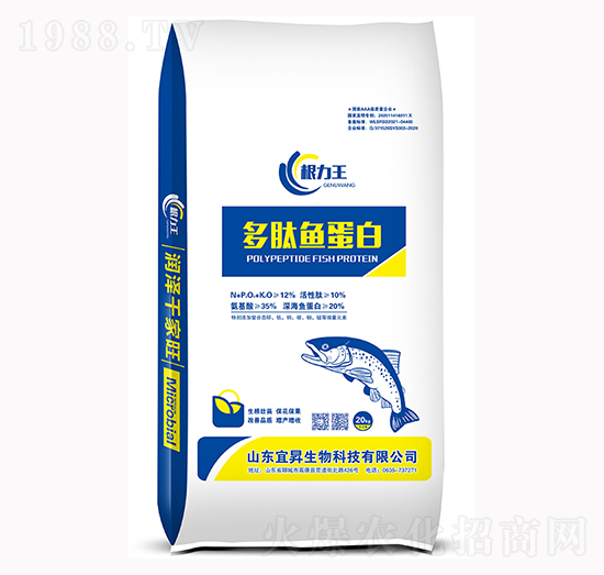 �����~����-������-�˕N����