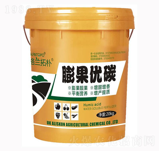 �����(y��u)̼-���m�ؘ�-���{