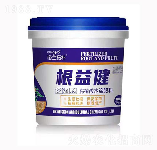 ���潡-���m�ؘ�-���{