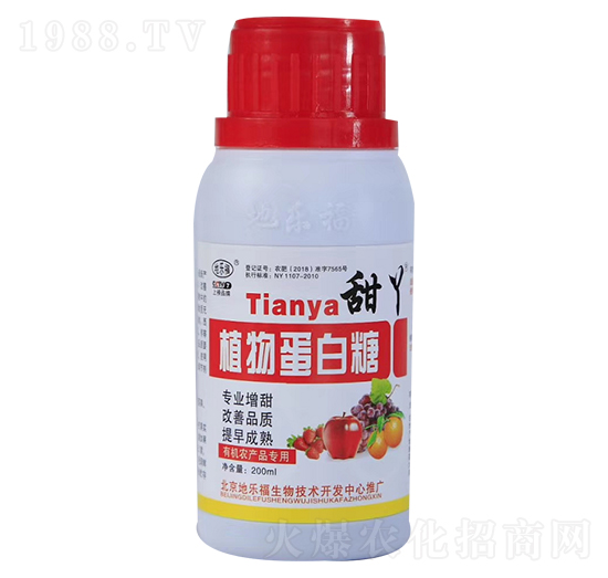 ֲ�ﵰ����-��Ѿ-�ؘ���