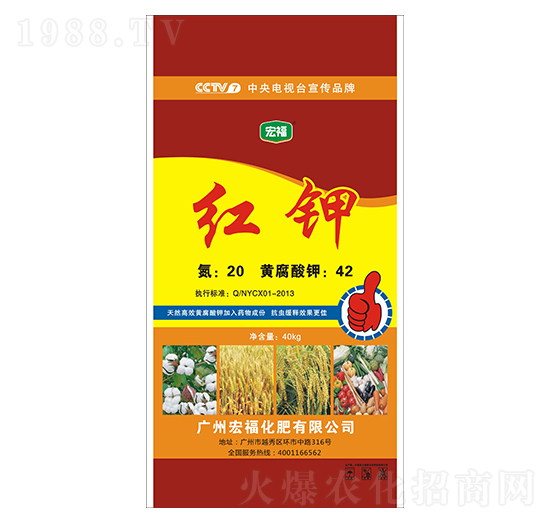 �t�-�������