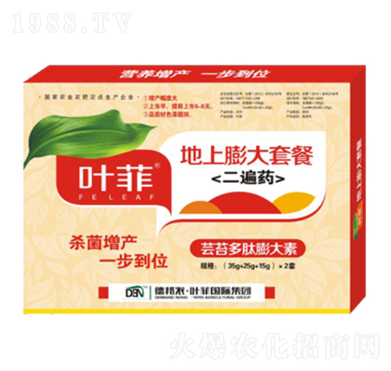 地上膨大套餐-德邦葉菲