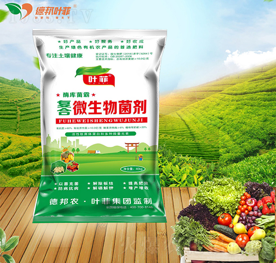 �ͺ�΢�������-ø�����-�°��~��