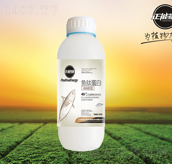 �~(y��)�ĵ��ף�ƿ��-������-������