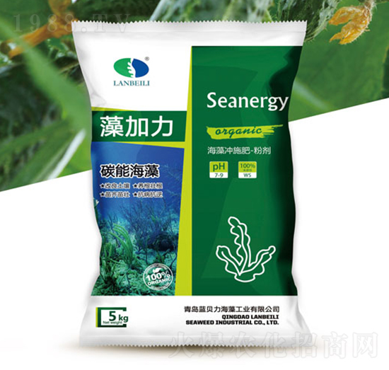 ����_ʩ��-�����-�{ؐ��