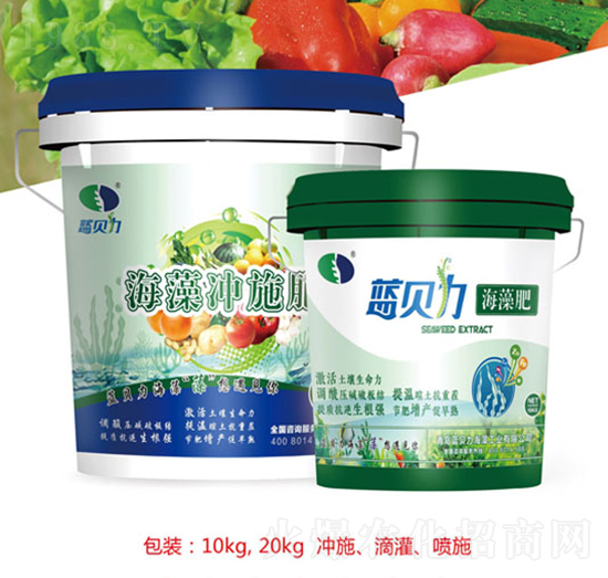 ����Һ�w��-�屶��-�{(l��n)ؐ��