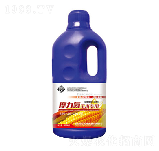 Ħ�������׌�(zhu��n)��׷��-������