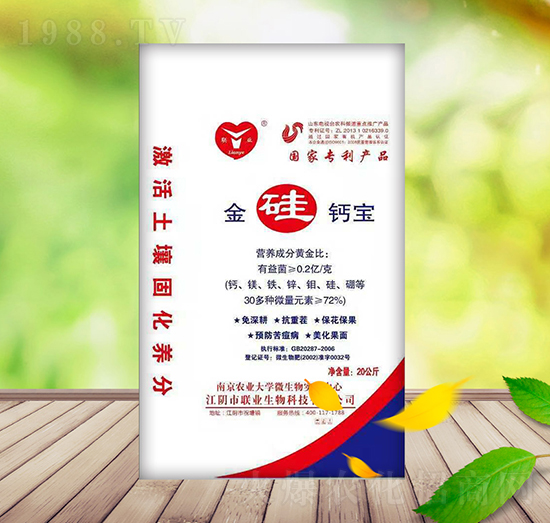 ����}��-��������