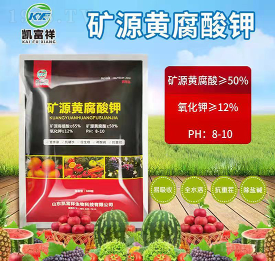 �VԴ�S�����-�P����