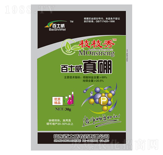 ��ʿ������-֦֦��-��ʿ��