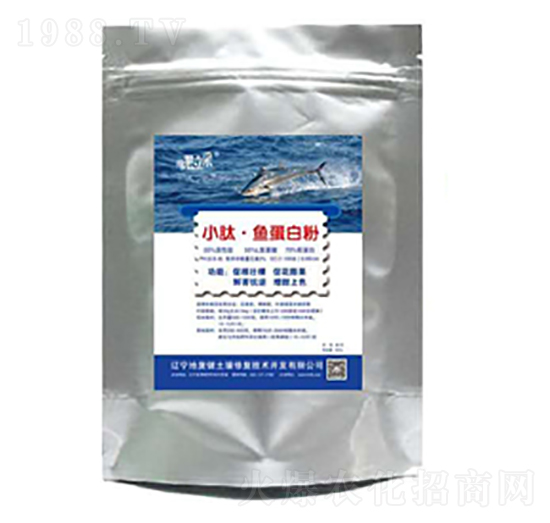 С���~���׷�-�؏�(f��)��