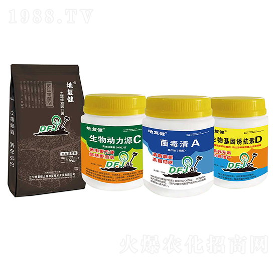 �����ޏ�(f��)��������-�؏�(f��)��