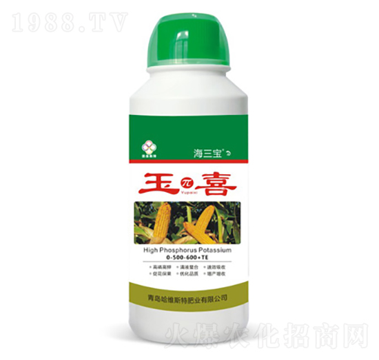 ���ϲ-������-���S˹�طʘI(y��)