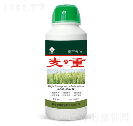 ������-������-���S˹�طʘI(y��)