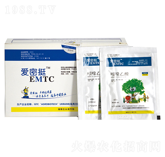 ��(��i)��ͦ-������