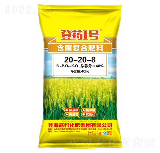 �ͺϷ���20-20-8-��ˎ1̖-�Ƿ�