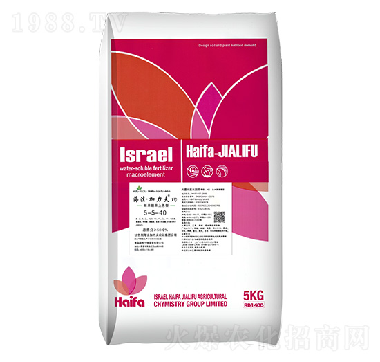 膨果靚果上色型大量元素水溶肥料5-5-40+TE-海法加力夫1號(hào)-海法加力夫