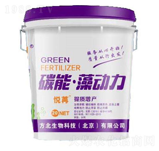 ̼�������-��������