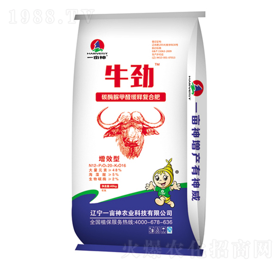 ̼ø���ȩ��ጏ�(f��)�Ϸ���12-60-16-ţ��-һ����