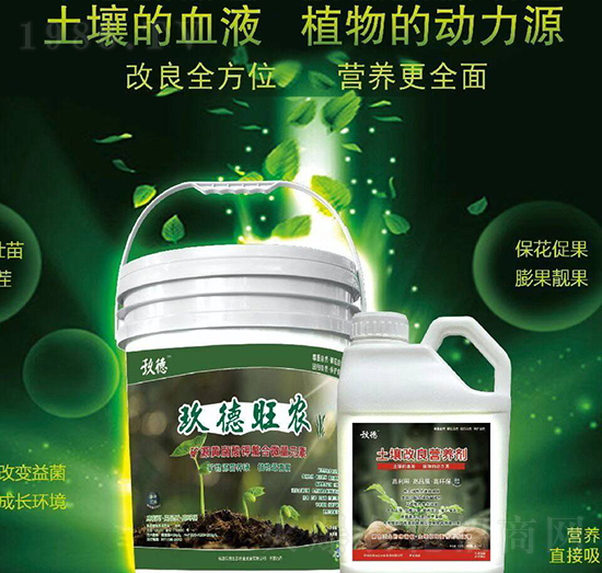 �������r(n��ng)+���������I(y��ng)�B(y��ng)��-������