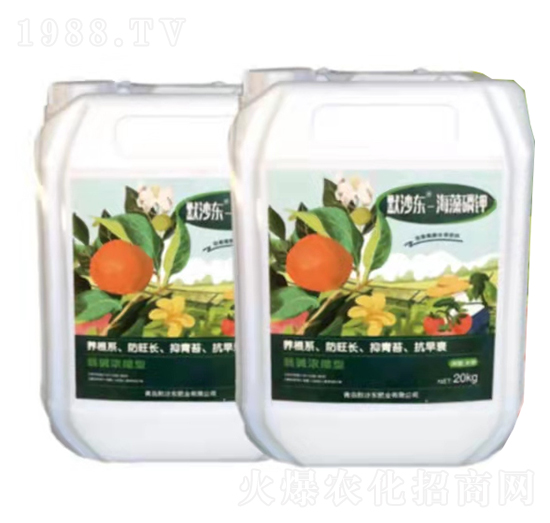 ���徫�-Ĭɳ�|�ʘI(y��)