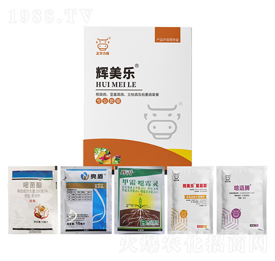 ���������o�����������ݲ�����ή���ײ�-�x����-���A����