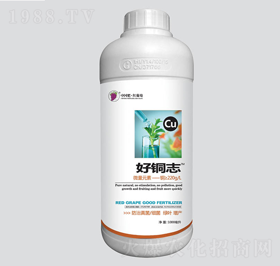 ���~־�~Ԫ��-�t����