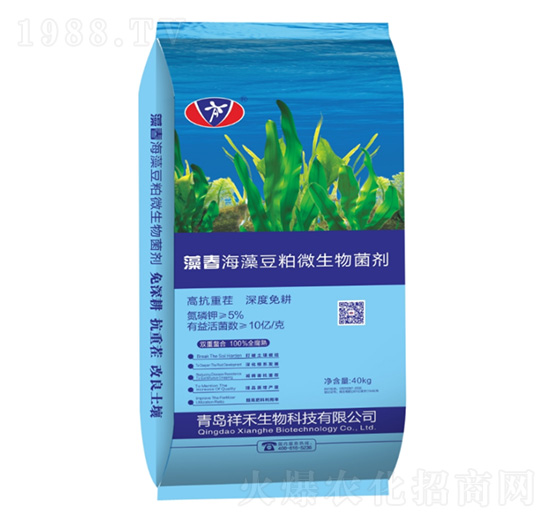 �崺���嶹��΢�������-�������