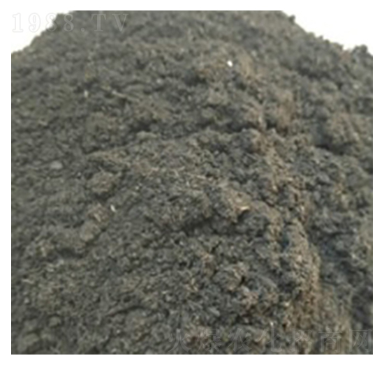 �����ЙC(j��)��-�ɺ�