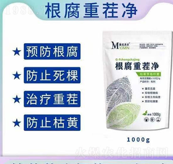 �����ز��-ԥҊ���r