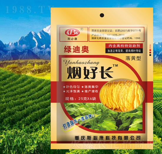 �����L(zh��ng)���S��-�G�ϊW-˹�ؿ�