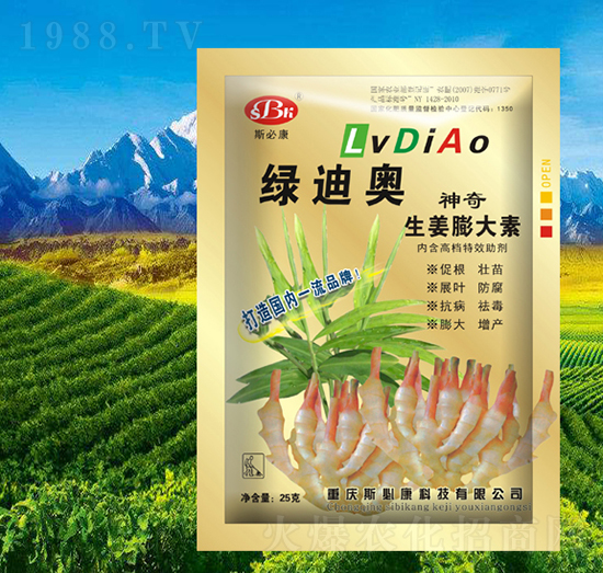 �������������-�G�ϊW-˹�ؿ�