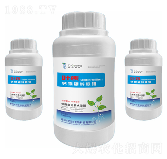 �}�V���\�F�f-�~�u-����