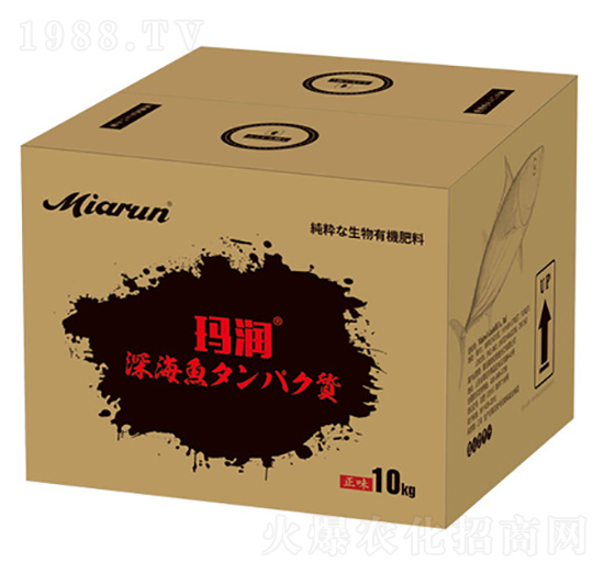 �ձ��M(j��n)���~����-����(r��n)-����