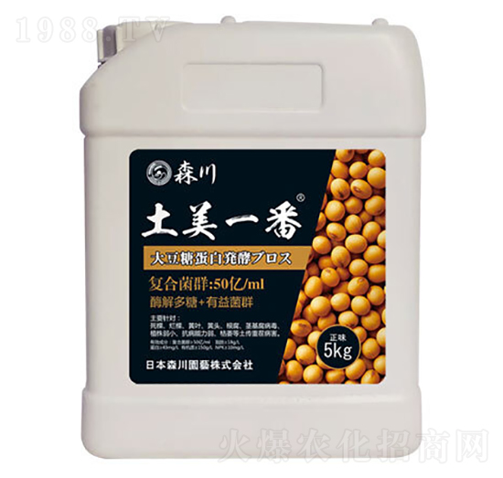 ����һ�������;���-ɭ��-����