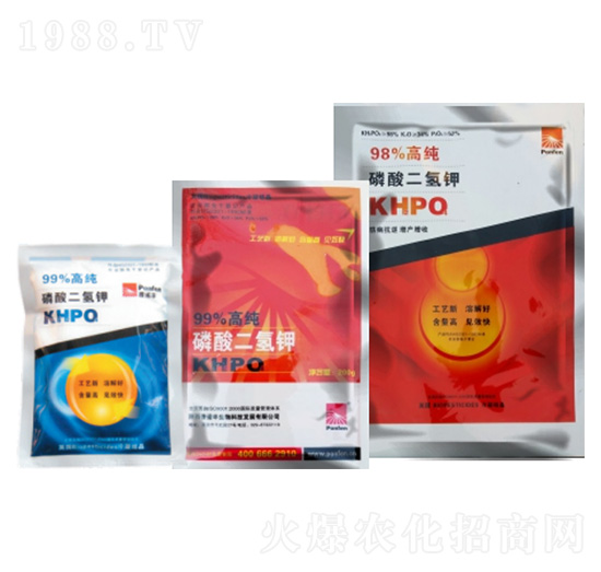 �������⛣�����-���Z�S